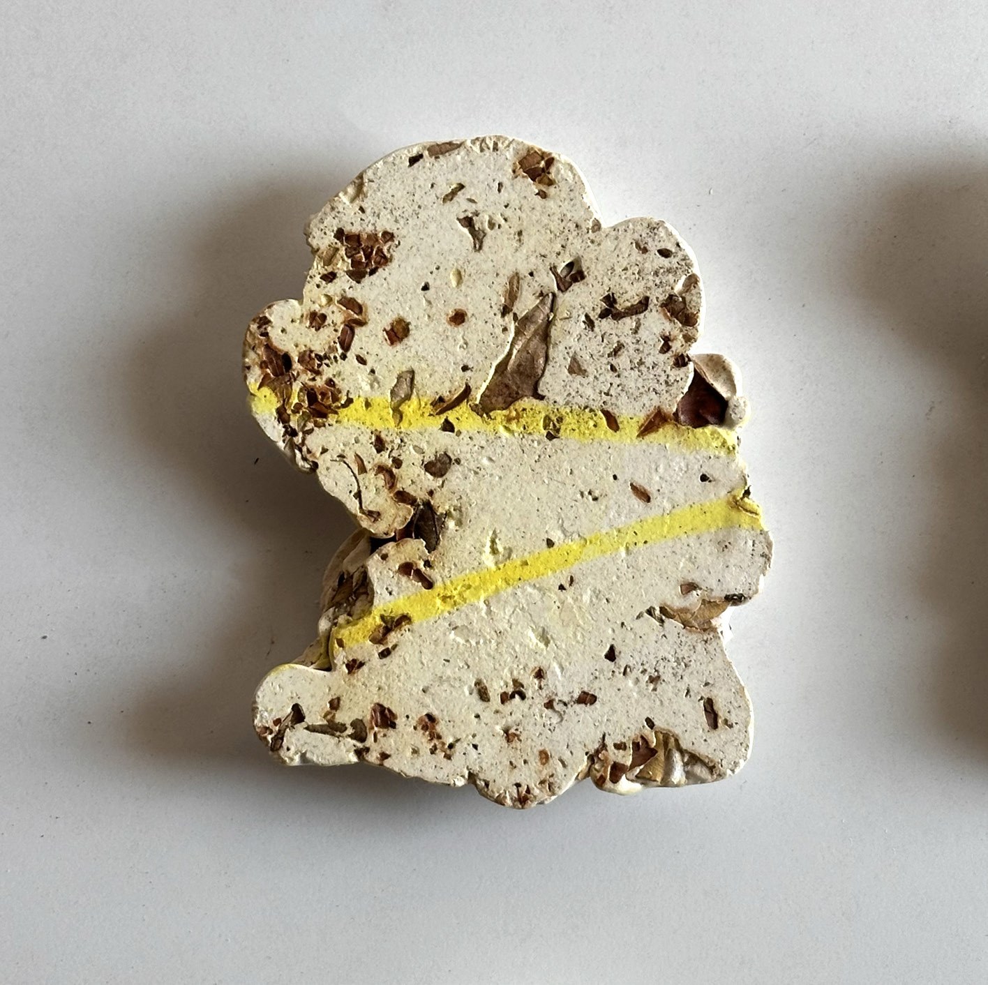 Plaster form bearing yellow turmeric anthotype shadow impressions